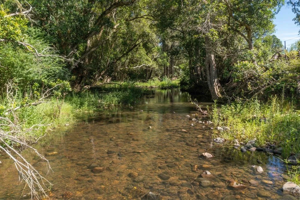 Additional image 7 of 176 McMillans Road, Ellenborough NSW 2446