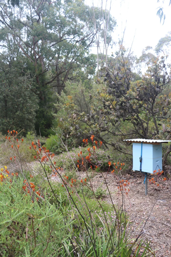 Additional image 21 of 65 Gardiners Road, Barongarook VIC 3249