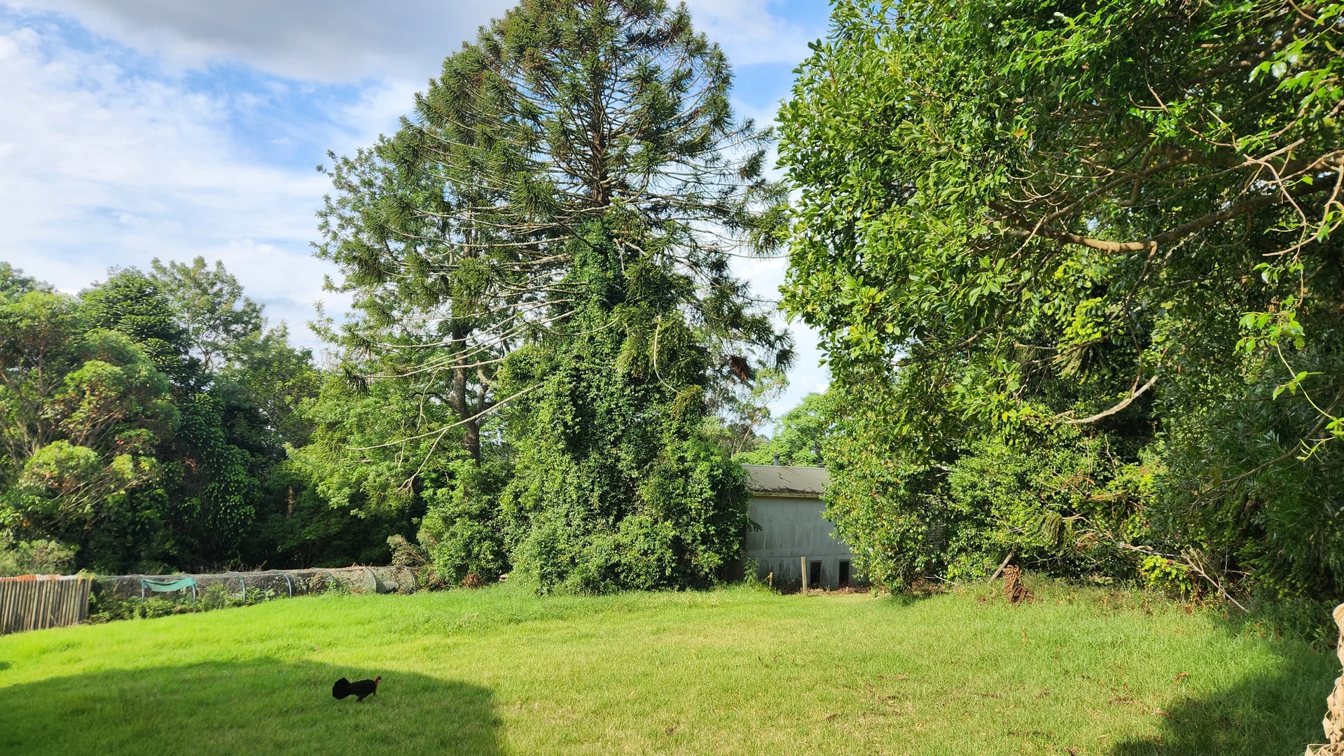 Additional image 6 of 3366 Bunya Mountains Road, Bunya Mountains QLD 4405