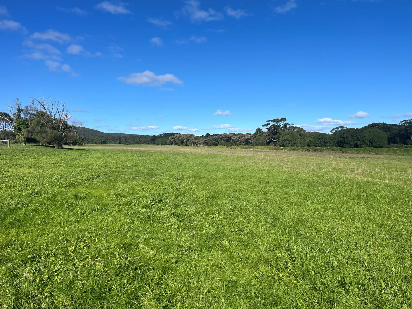 181 Francis Road, Lowlands WA 6330