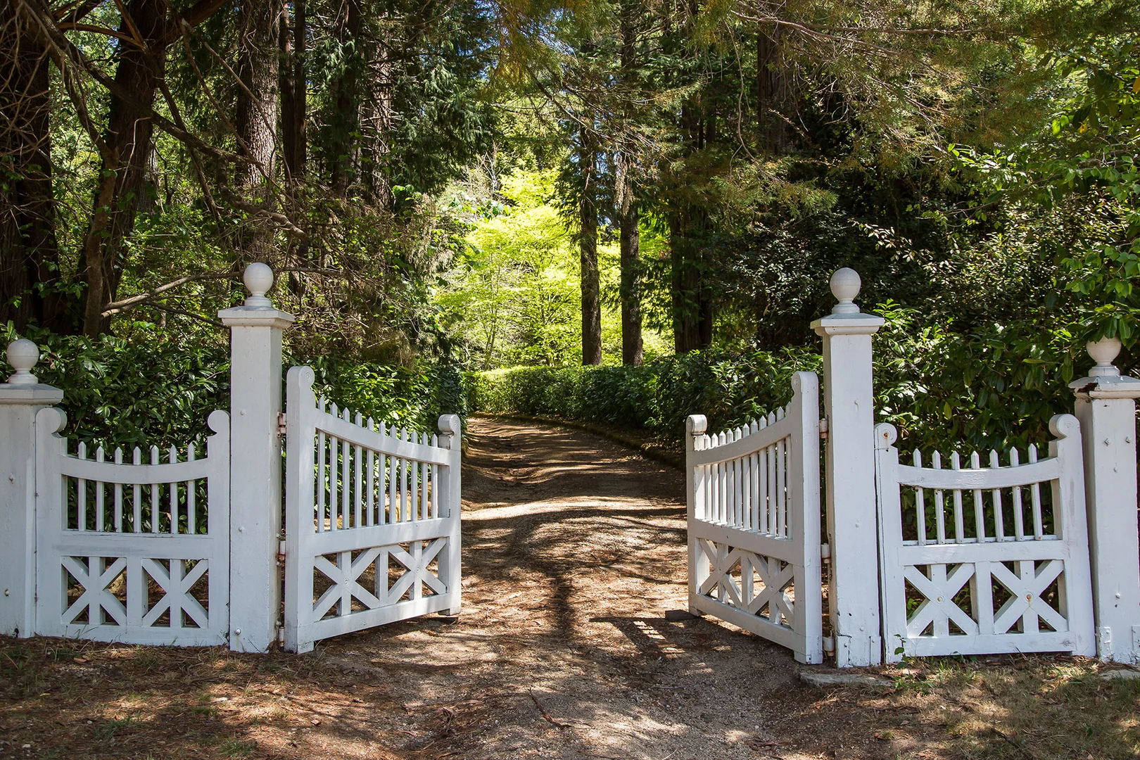 Additional image 24 of 43-69 Balmoral Road, Leura NSW 2780