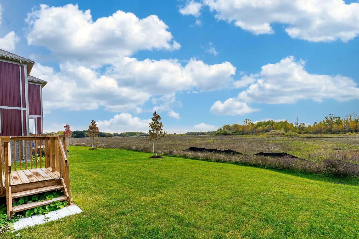 Additional image 19 of 257 Duncan Street