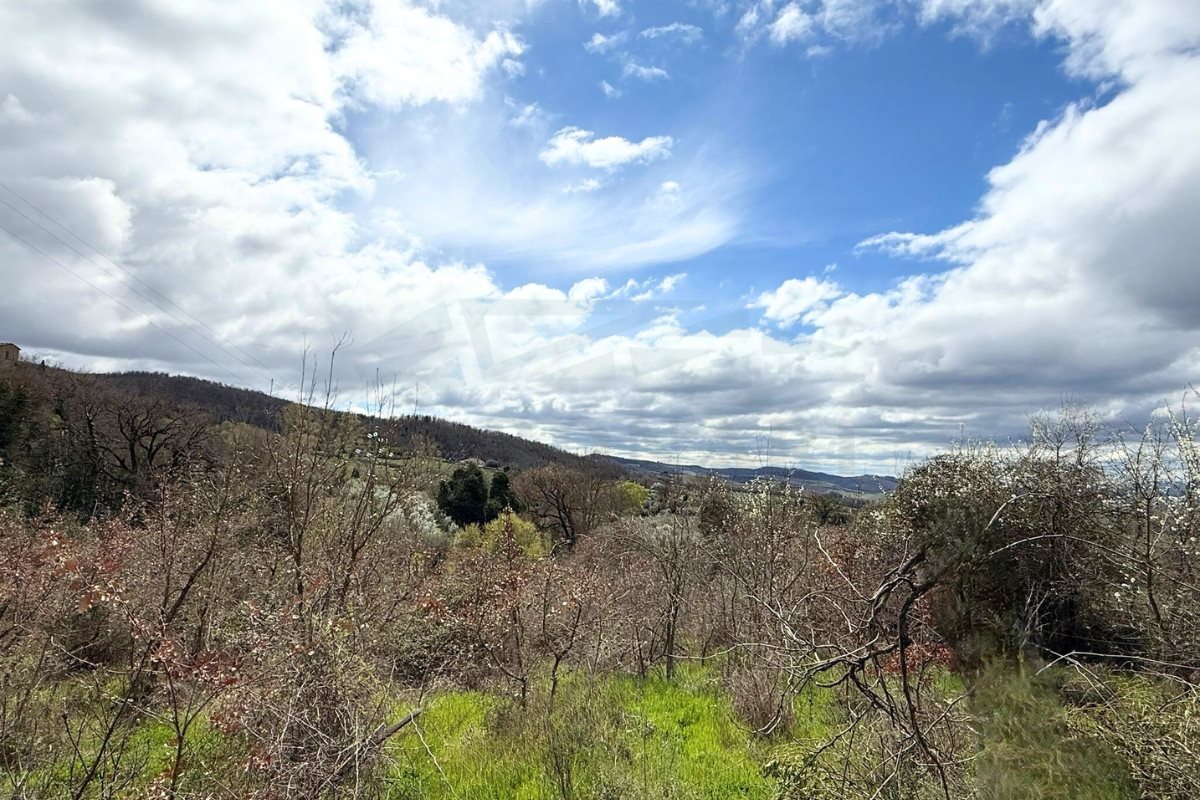 Additional image 6 of San Casciano dei Bagni (Siena)