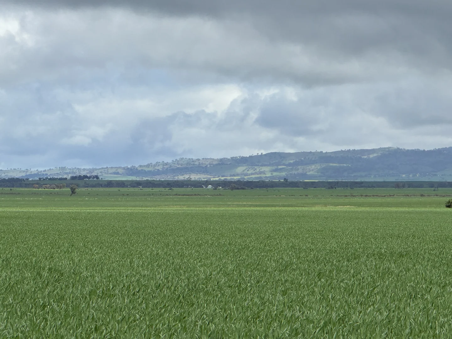 Additional image 2 of 434 Schmidt Road, Willowie SA 5431