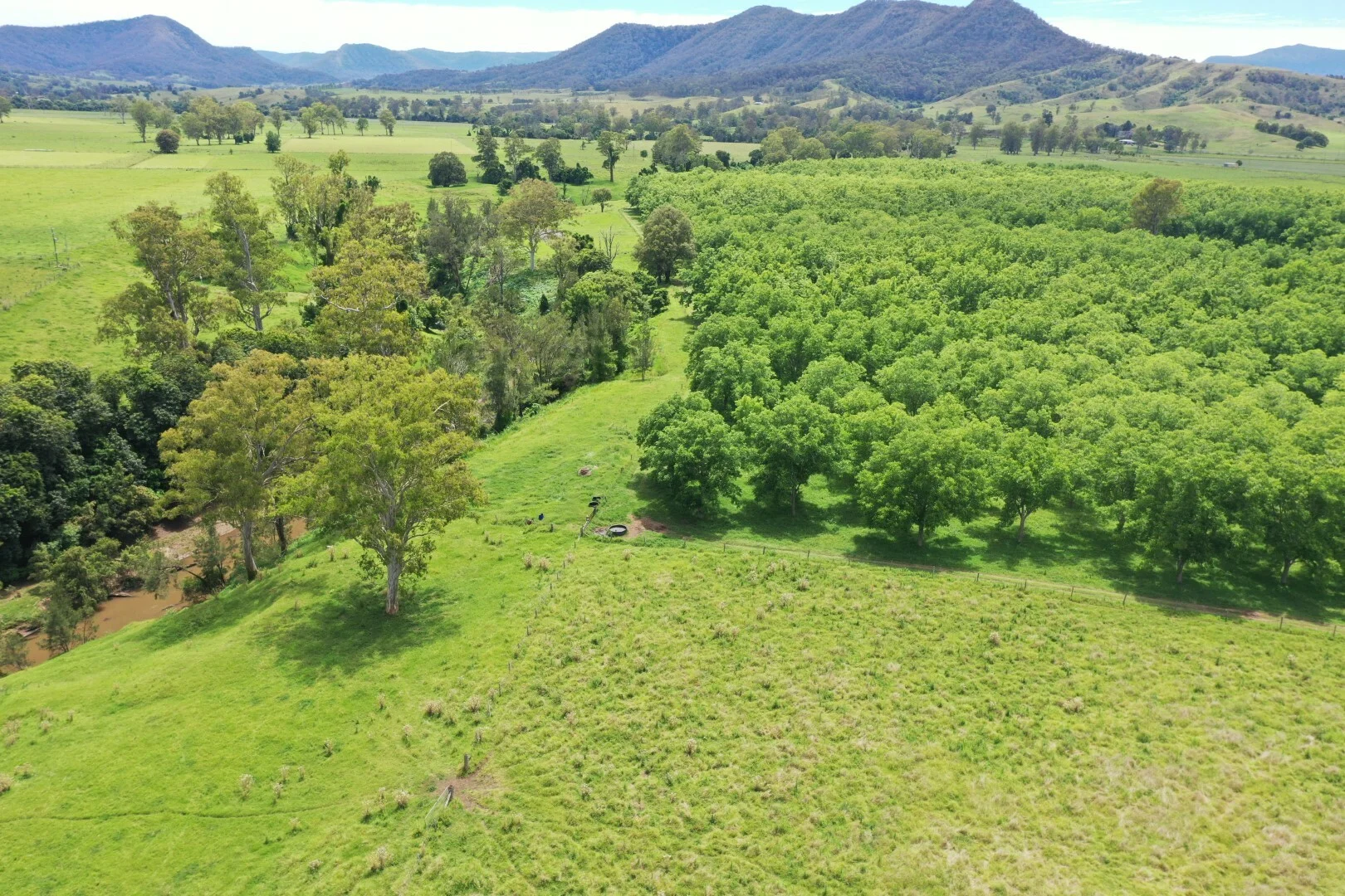 Additional image 3 of 139 Homestead Road, Kyogle NSW 2474