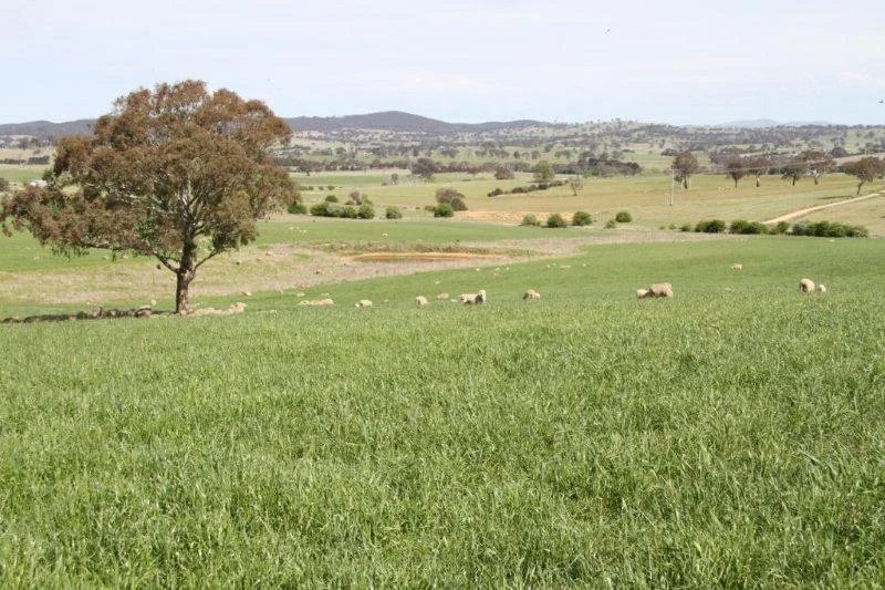 Additional image 2 of 3/83 Yass Valley Way, Manton NSW 2582