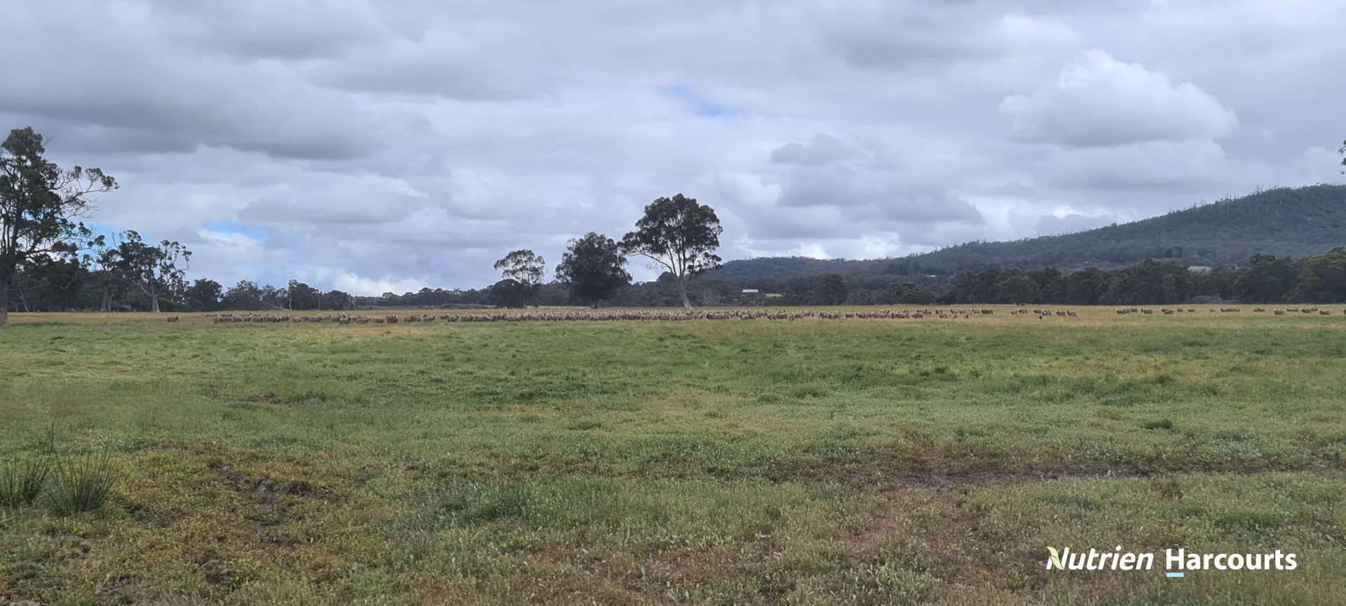 Additional image 24 of 4038 & 4184 Chesterpass Road, Takalarup WA 6324