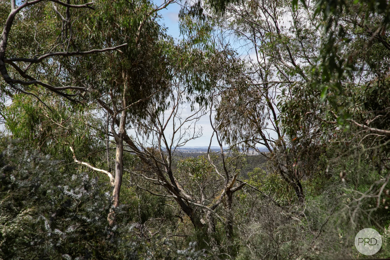 Additional image 12 of 456 Ferrers Road, Dereel VIC 3352