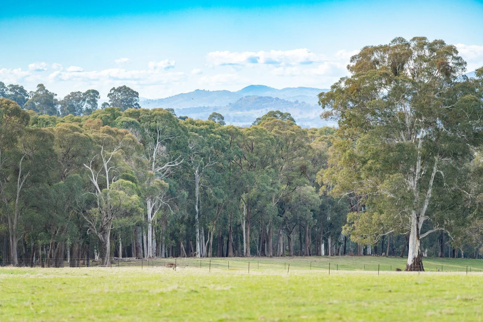 Additional image 9 of 130 Martin Lane, Yackandandah VIC 3749