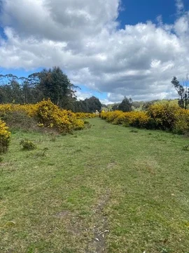 Additional image 2 of 138 Hogans Lane, Musk Vale VIC 3461