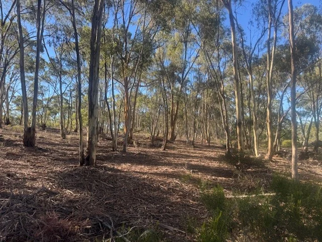 Additional image 8 of 2-20 Godfrey Street, Wedderburn VIC 3518