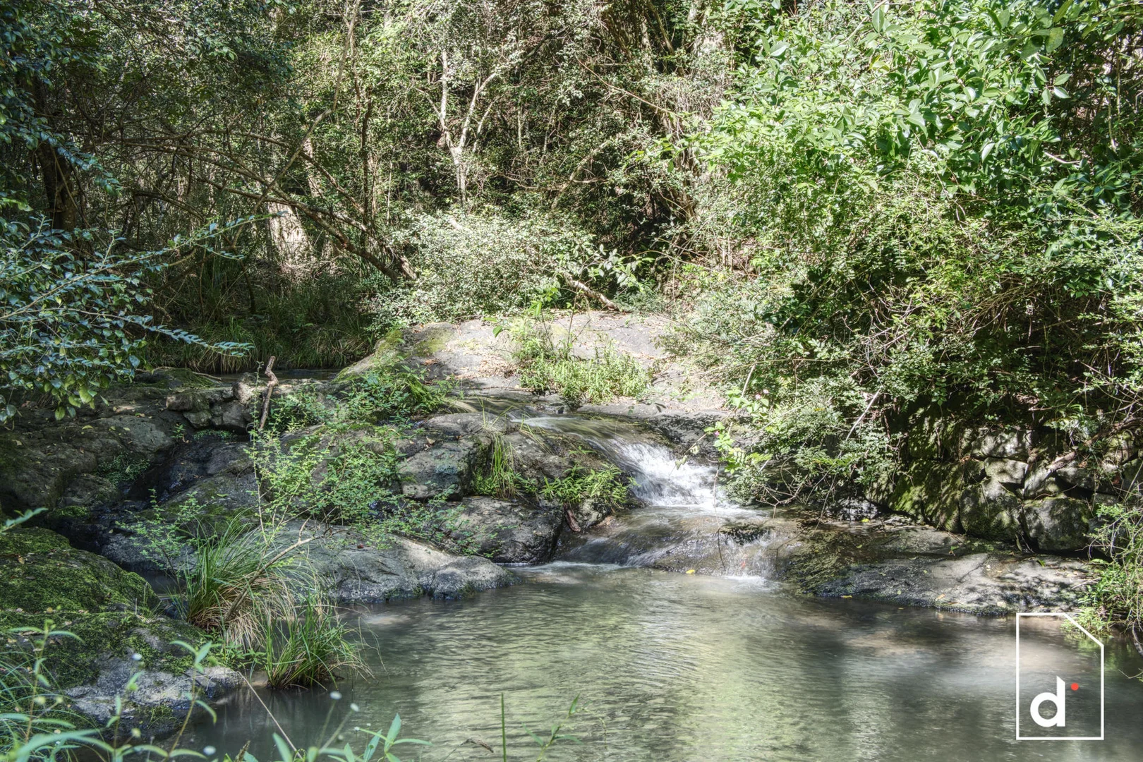 Additional image 11 of 136 Wender Road, Collins Creek NSW 2474