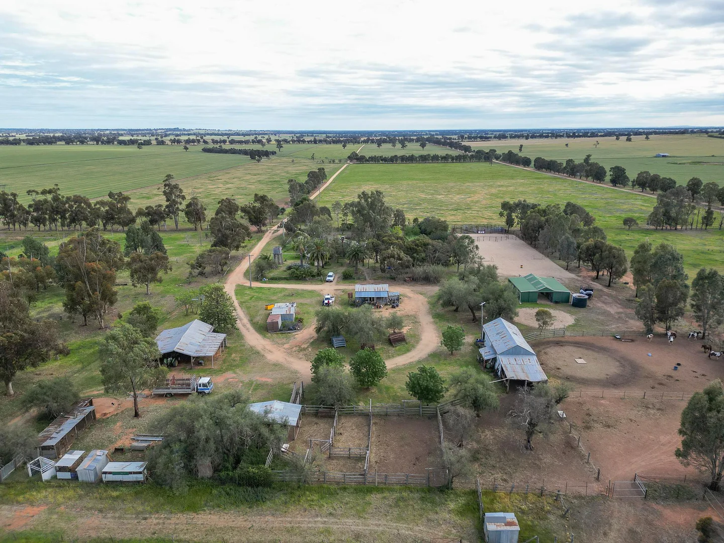 Additional image 4 of 2326 Lockhart The Rock Road, The Rock NSW 2655