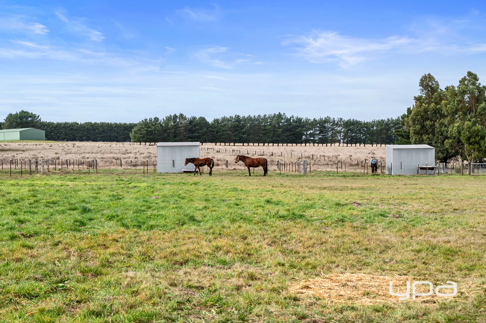 Additional image 12 of 109 Corries Lane, Mount Egerton VIC 3352