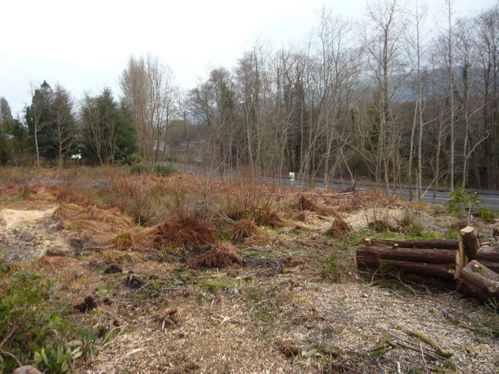 Land for salePlot Innerghlinnie Shore Road, Kilmun PA23 photo 4