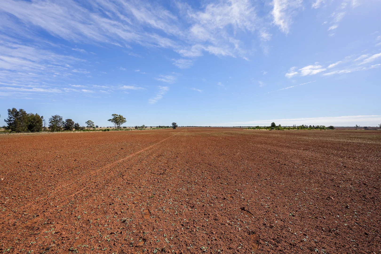 Additional image 20 of 4229 Bobadah Road, Bobadah NSW 2877