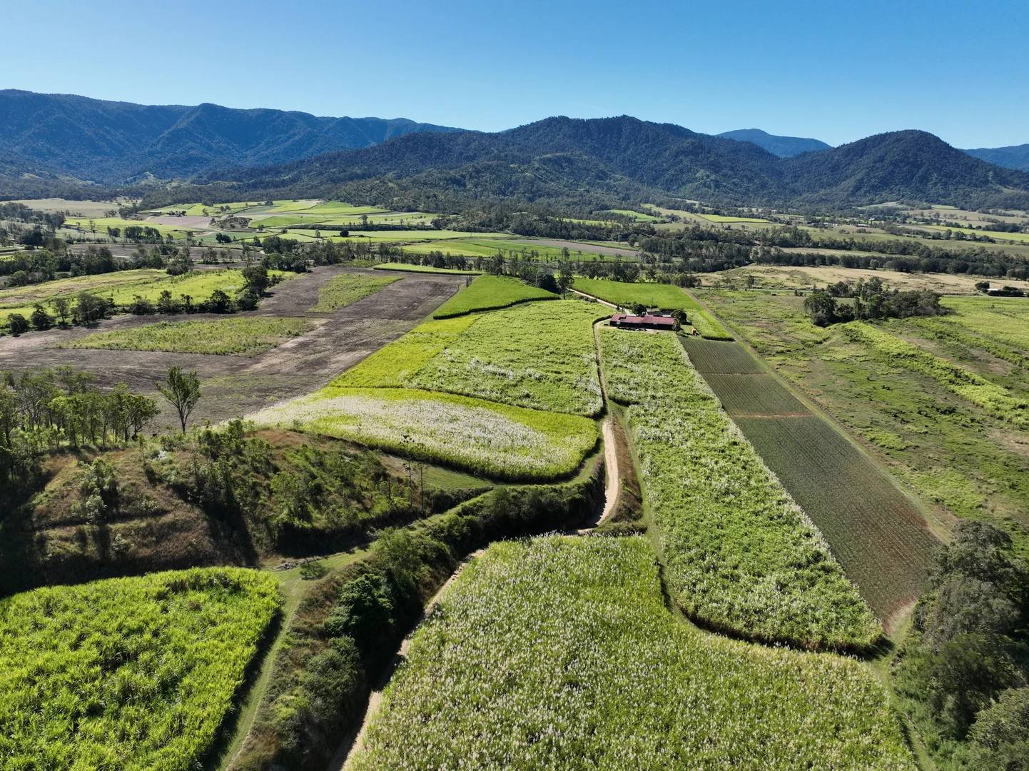 Additional image 6 of Finch Hatton QLD 4756