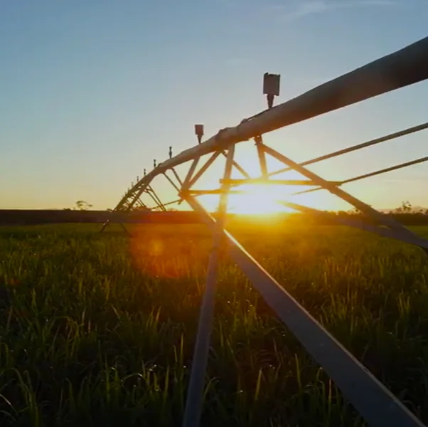 Additional image 13 of Lot 4 Marge Camerons Road, Marian QLD 4753