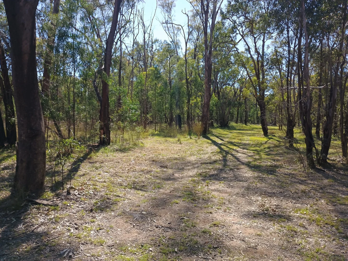 Additional image 12 of Coolah NSW 2843