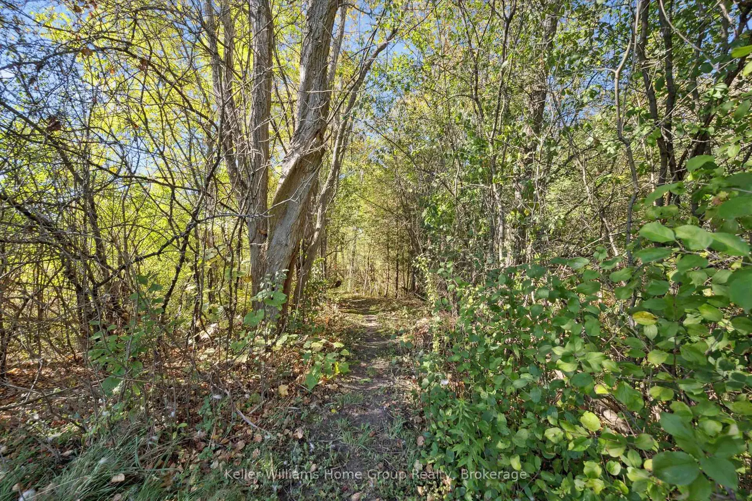 Additional image 15 of 568 Black Street