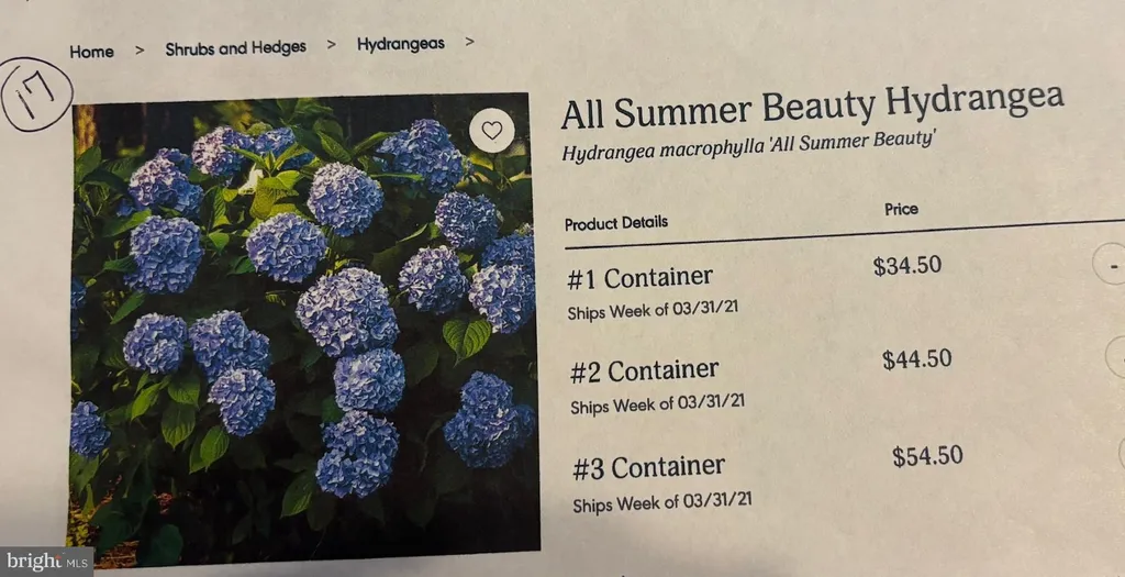 Additional image 64 of 6 Bradley Circle, Middletown, DE 19709