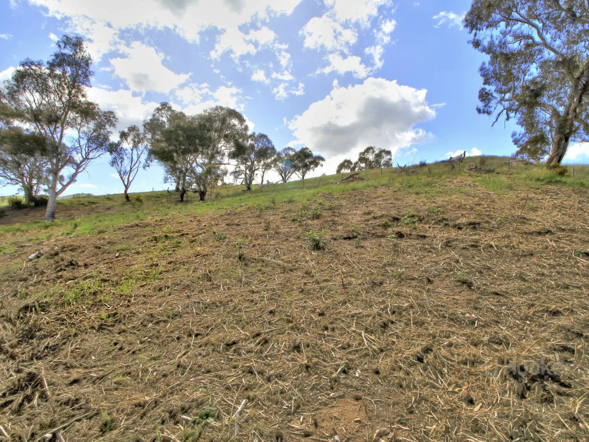 Additional image 7 of 90 Old Omeo Highway, Omeo VIC 3898