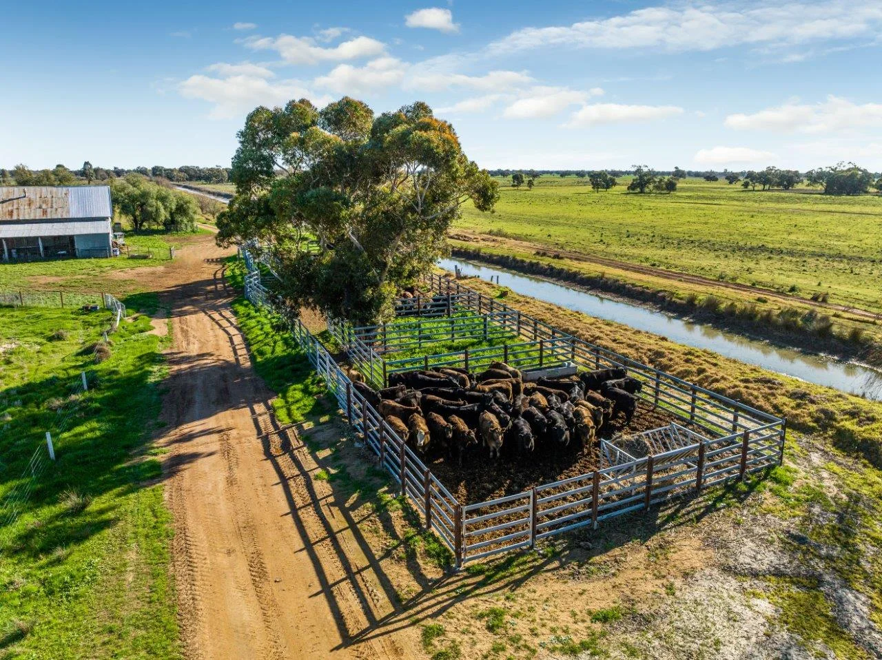 Additional image 6 of 495 Burraboi Road, Barham NSW 2732