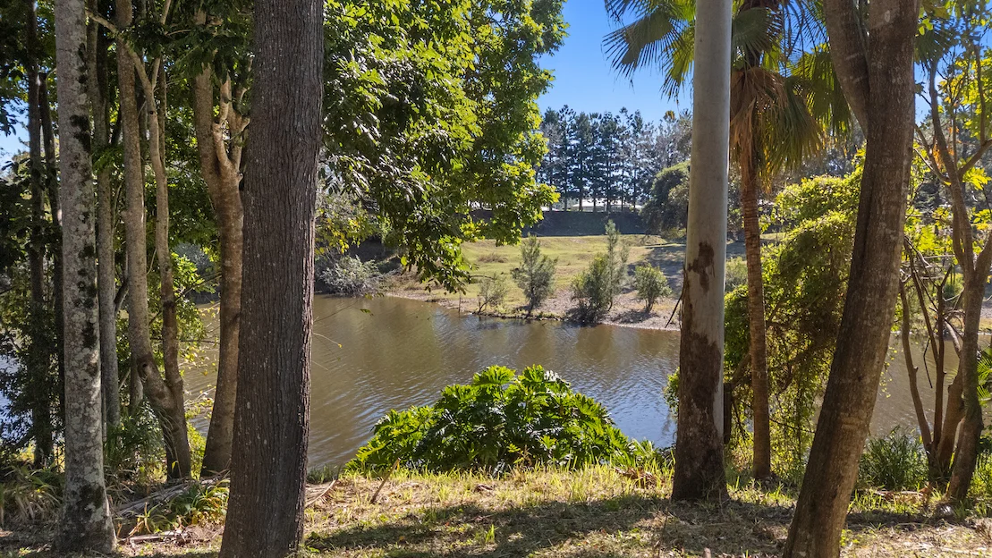 Additional image 6 of 135 Yabba Road, Imbil QLD 4570