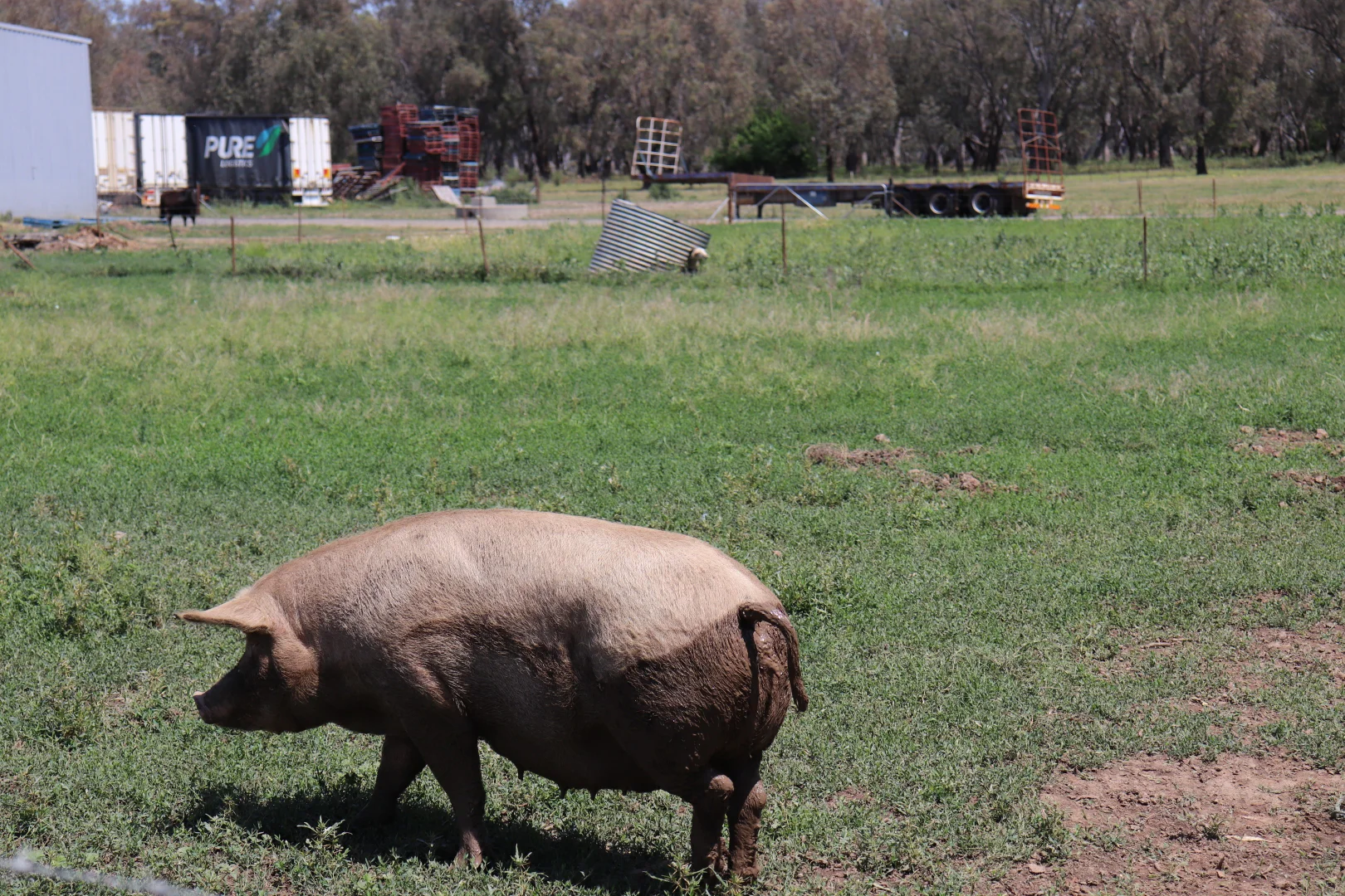Additional image 24 of 75 Warrul Road, Forbes NSW 2871