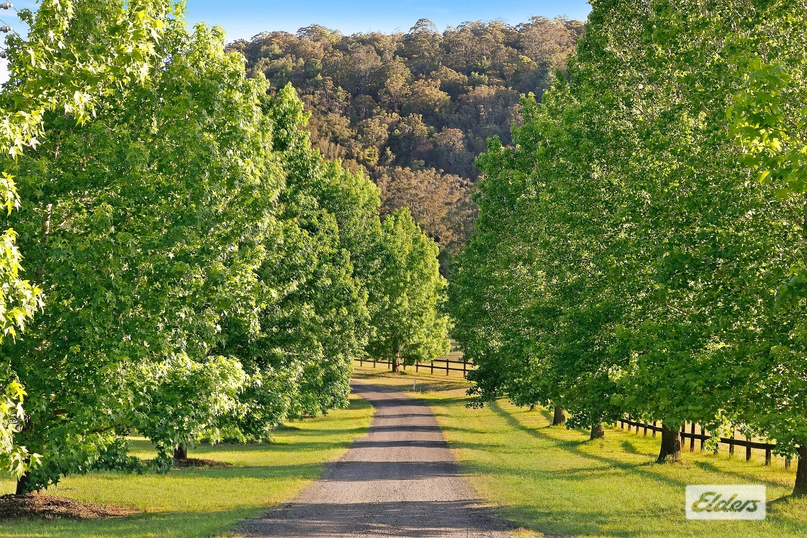 Additional image 25 of 41 Amber Lane, Wyong Creek NSW 2259