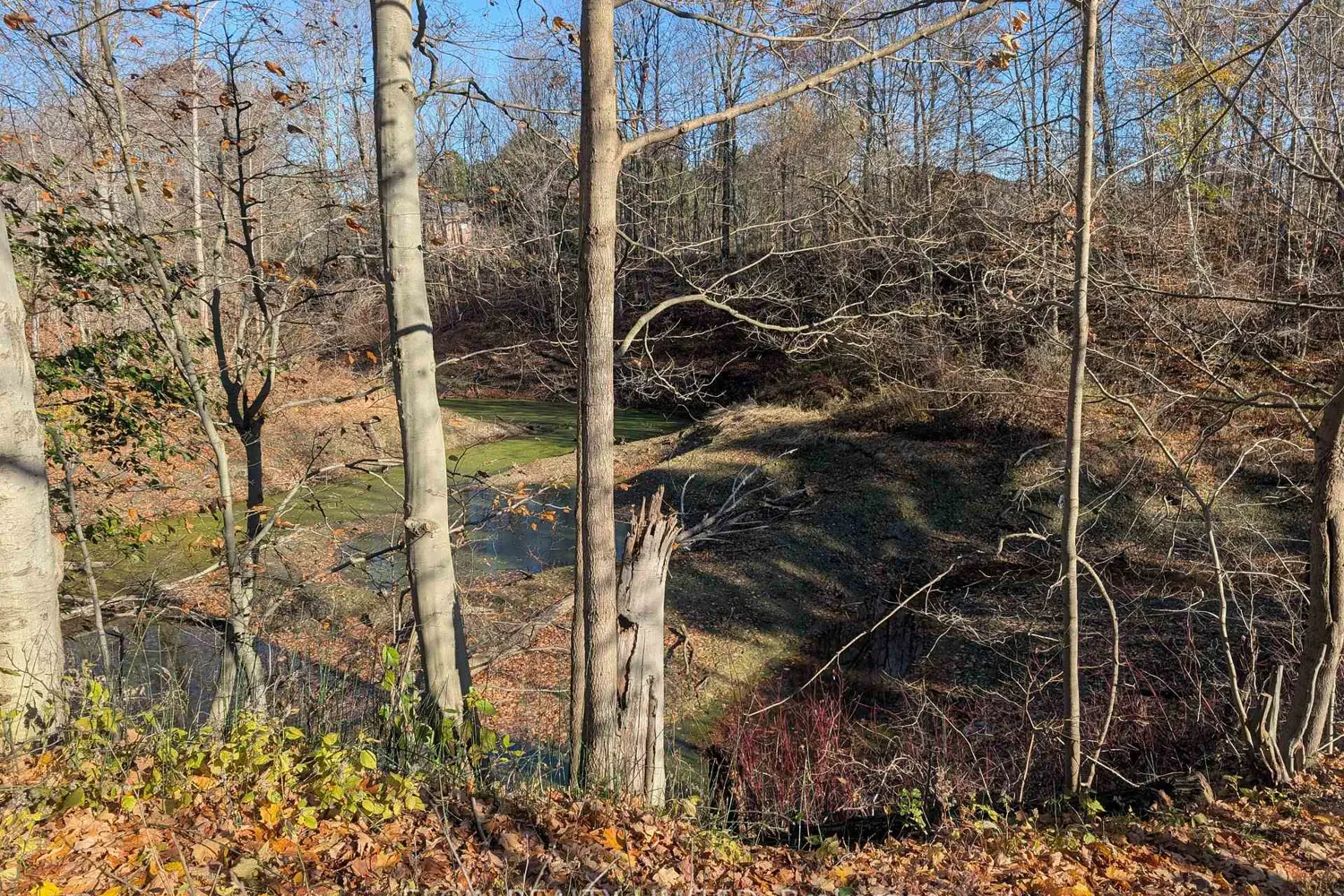 Additional image 9 of 46420 Methodist St. Street