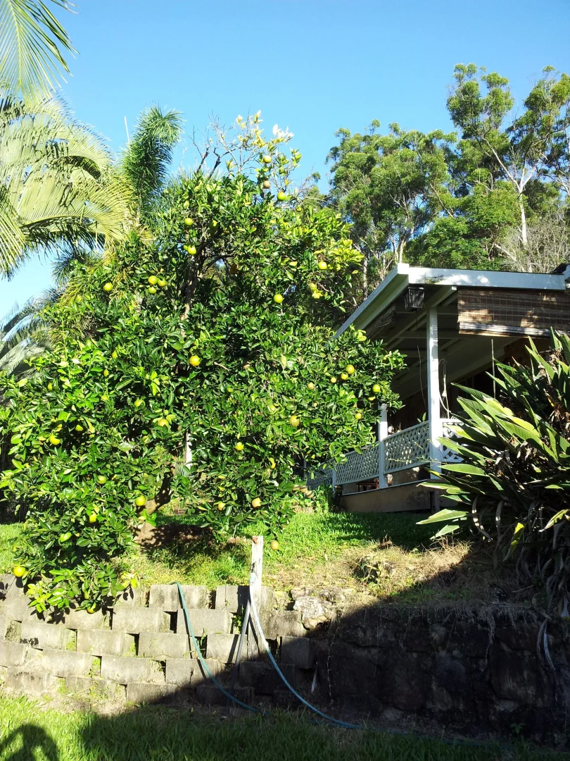 Additional image 19 of 74 Sudholz Road, Verrierdale QLD 4562