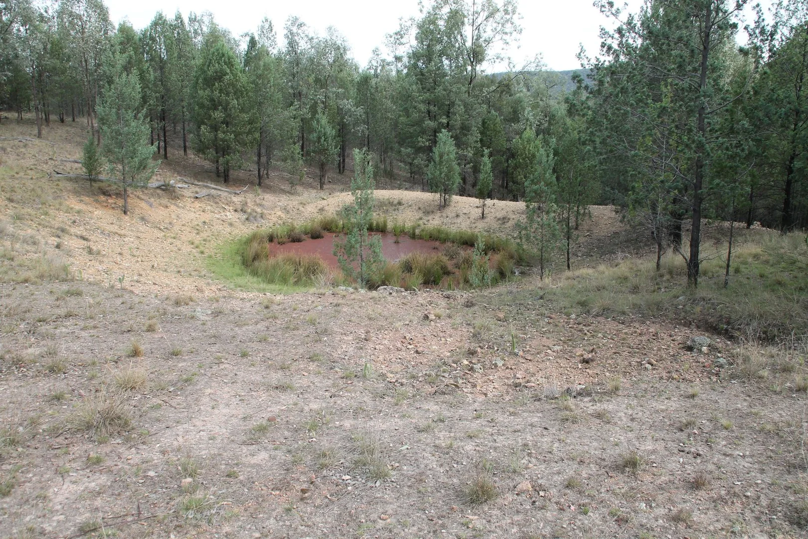 Additional image 2 of Lot 19 Mountain Creek Road, Tenterfield NSW 2372