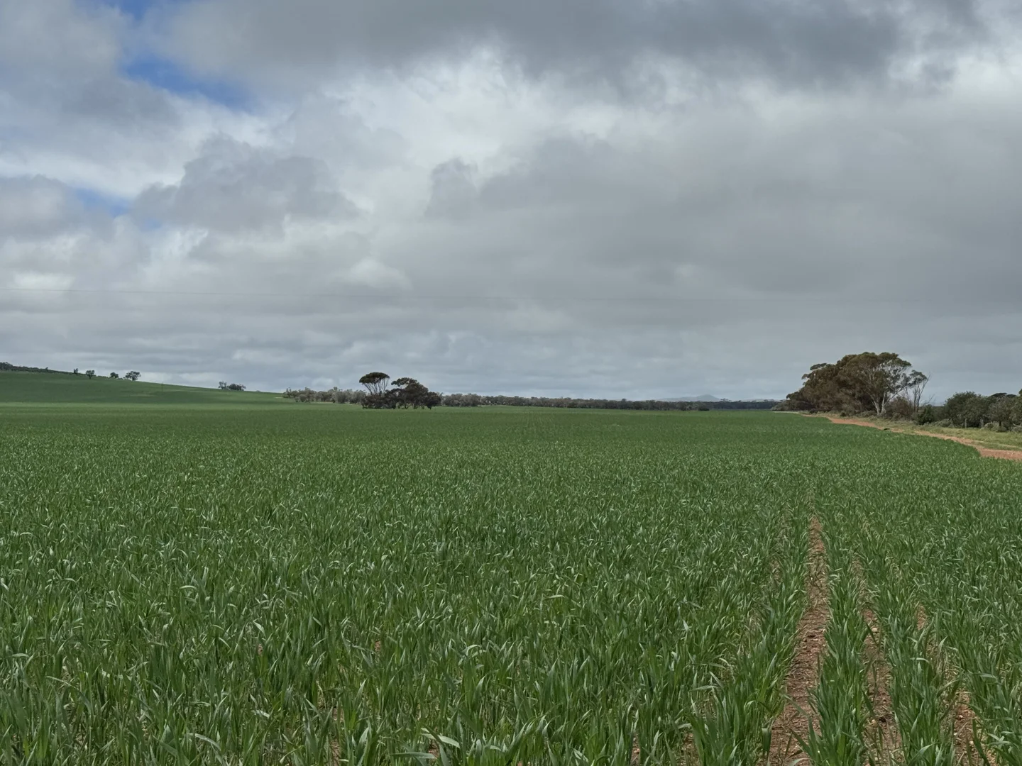 Additional image 4 of 434 Schmidt Road, Willowie SA 5431