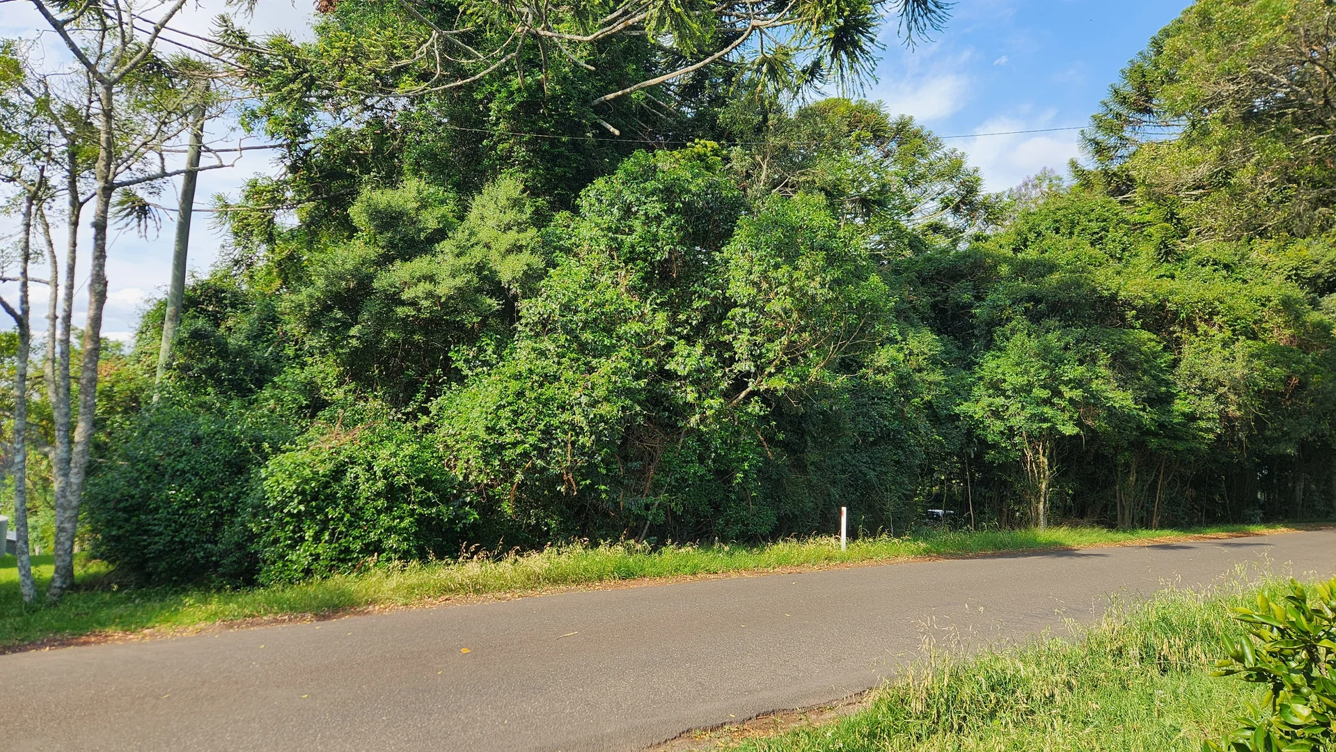 Additional image 5 of 3366 Bunya Mountains Road, Bunya Mountains QLD 4405