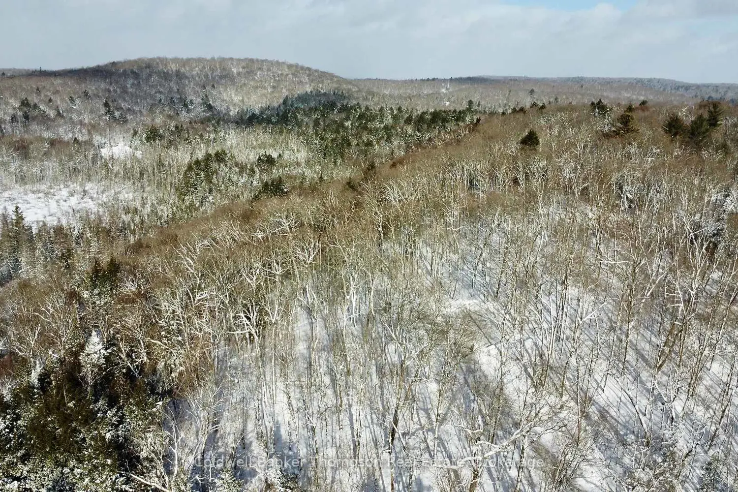 Additional image 2 of 265 Sharon Drive