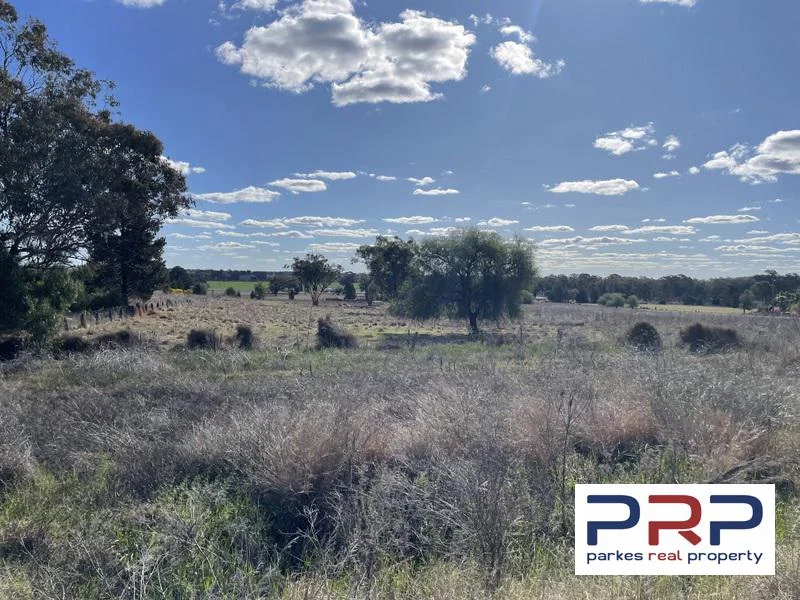 Additional image 4 of 48 Furners Lane, Trewilga NSW 2869