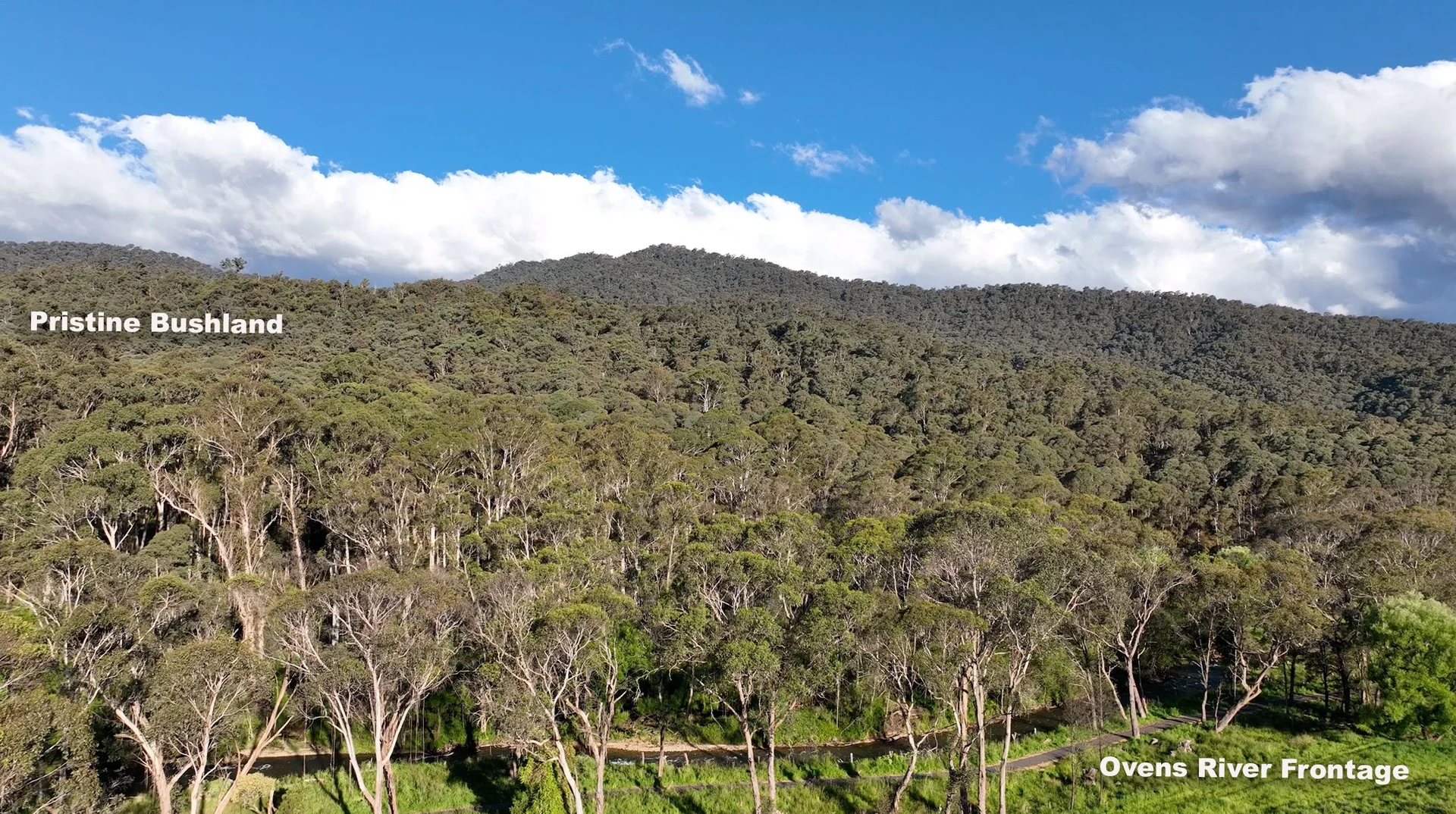 Additional image 17 of Smoko VIC 3741