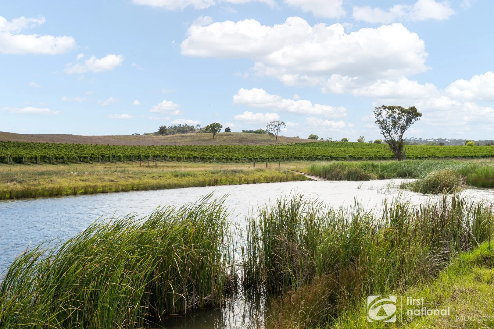 46 Shiraz Drive, Gulgong NSW 2852