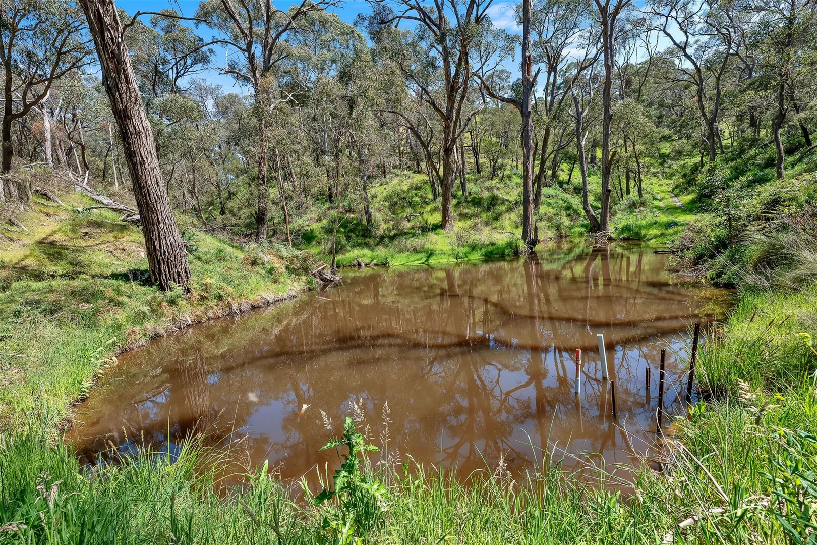Additional image 23 of 231 Gisborne-Melton Road, Toolern Vale VIC 3337