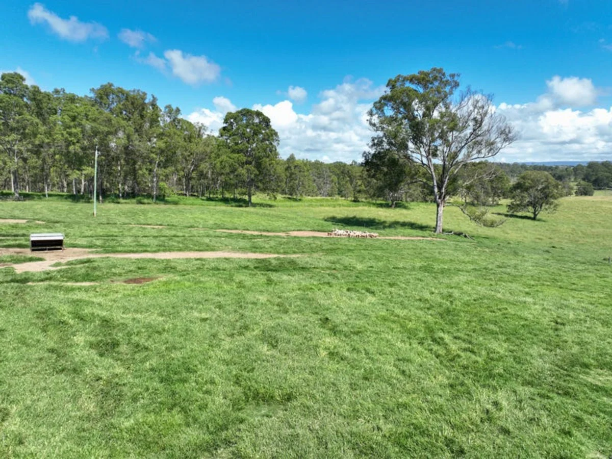 Additional image 14 of 340 Old Dyraaba Road, Woodview, Casino NSW 2470