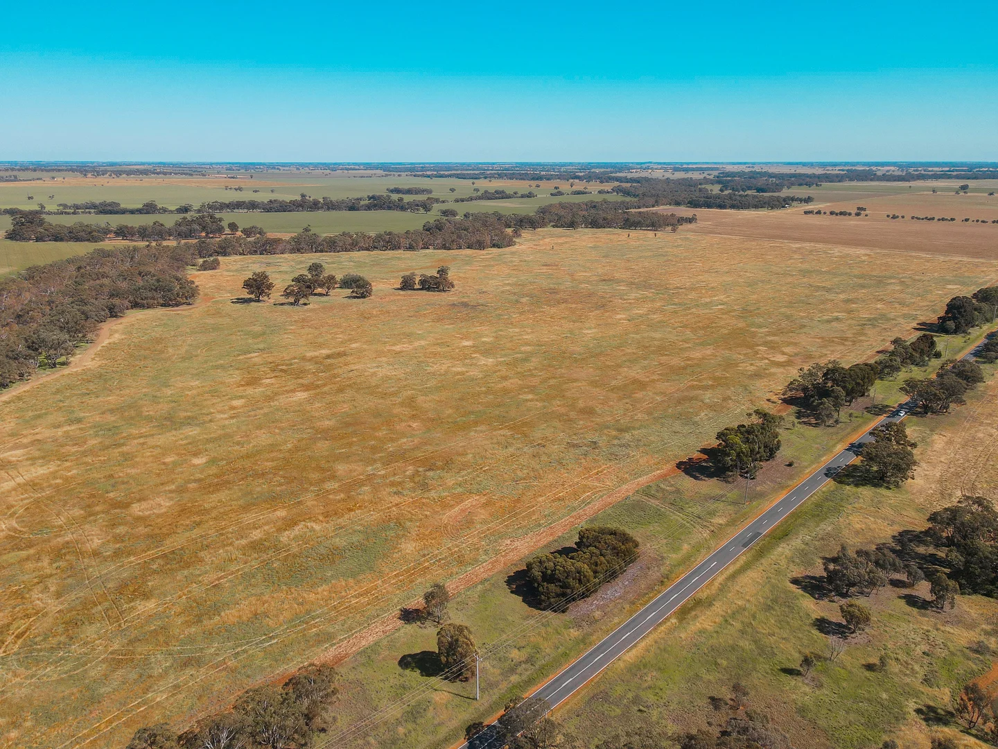 Additional image 6 of Teddywaddy VIC 3527