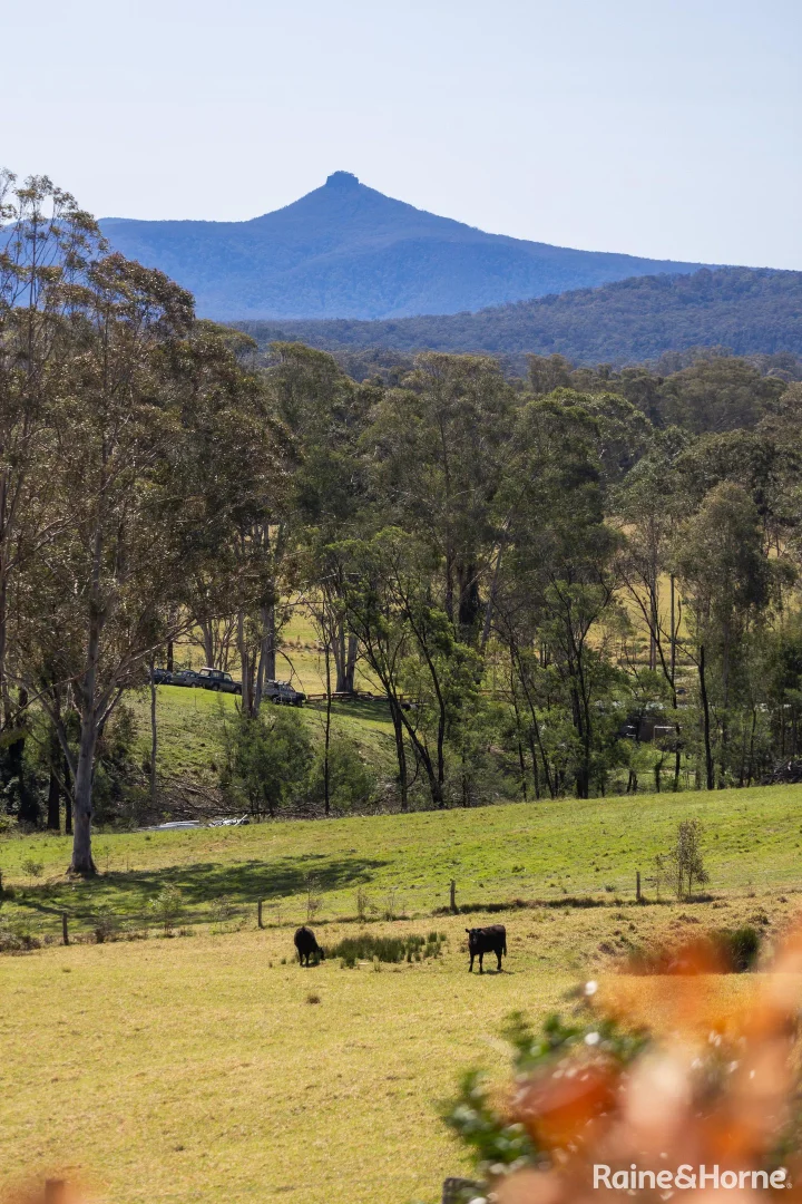 Additional image 31 of 1813 The River Road 'Strathclyde', Brooman NSW 2538