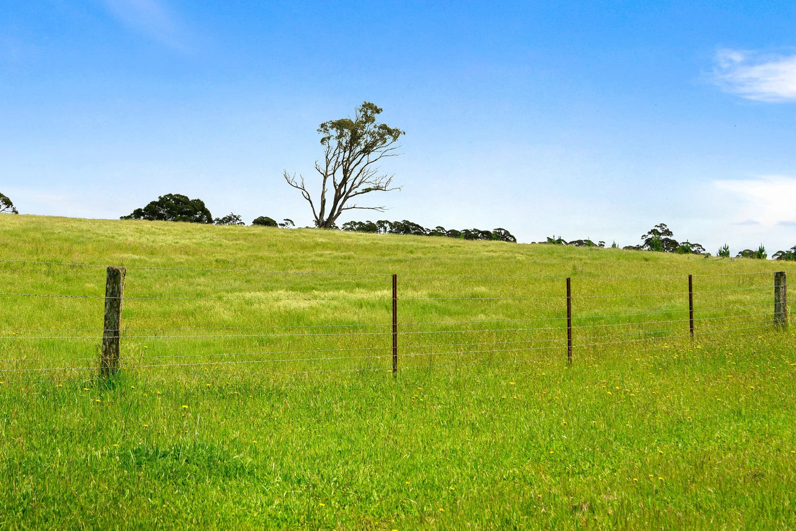 Additional image 13 of 373 Sallys Corner Road, Exeter NSW 2579