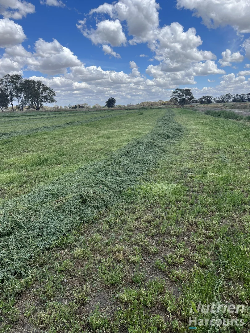 Additional image 15 of . Echuca Nanneella Road, Nanneella VIC 3561