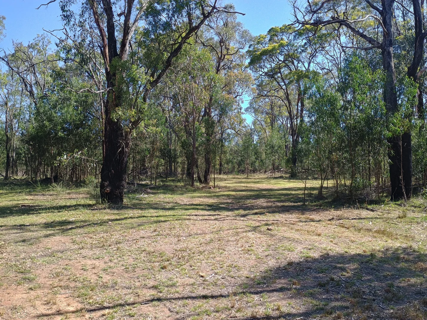 Additional image 3 of Coolah NSW 2843