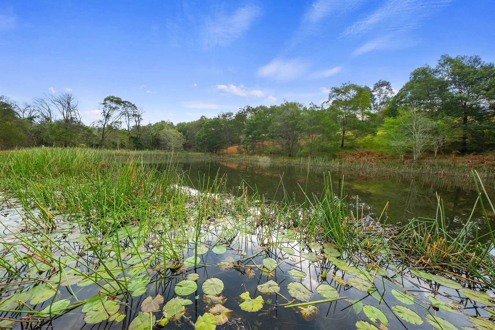 Additional image 7 of 66 Baileys Lane, Kurrajong Hills NSW 2758