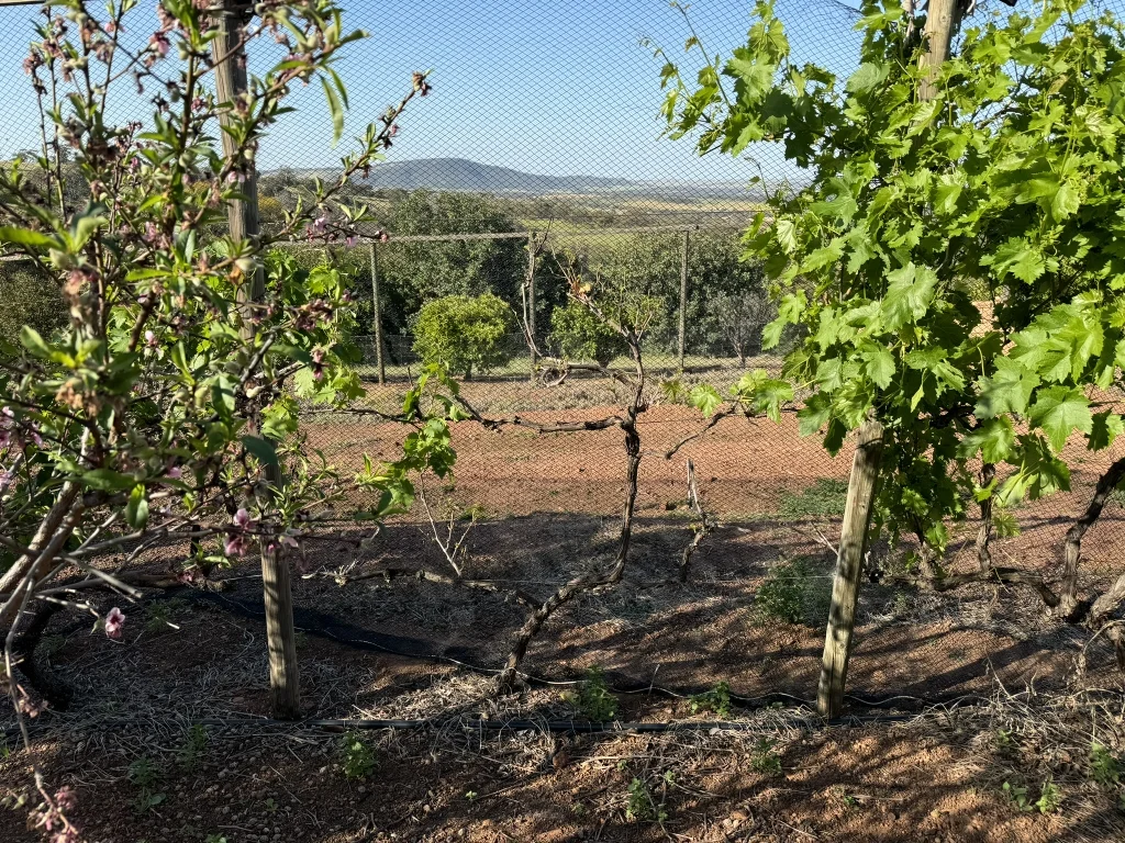 Additional image 54 of 9 Morris Edwards Drive, York WA 6302