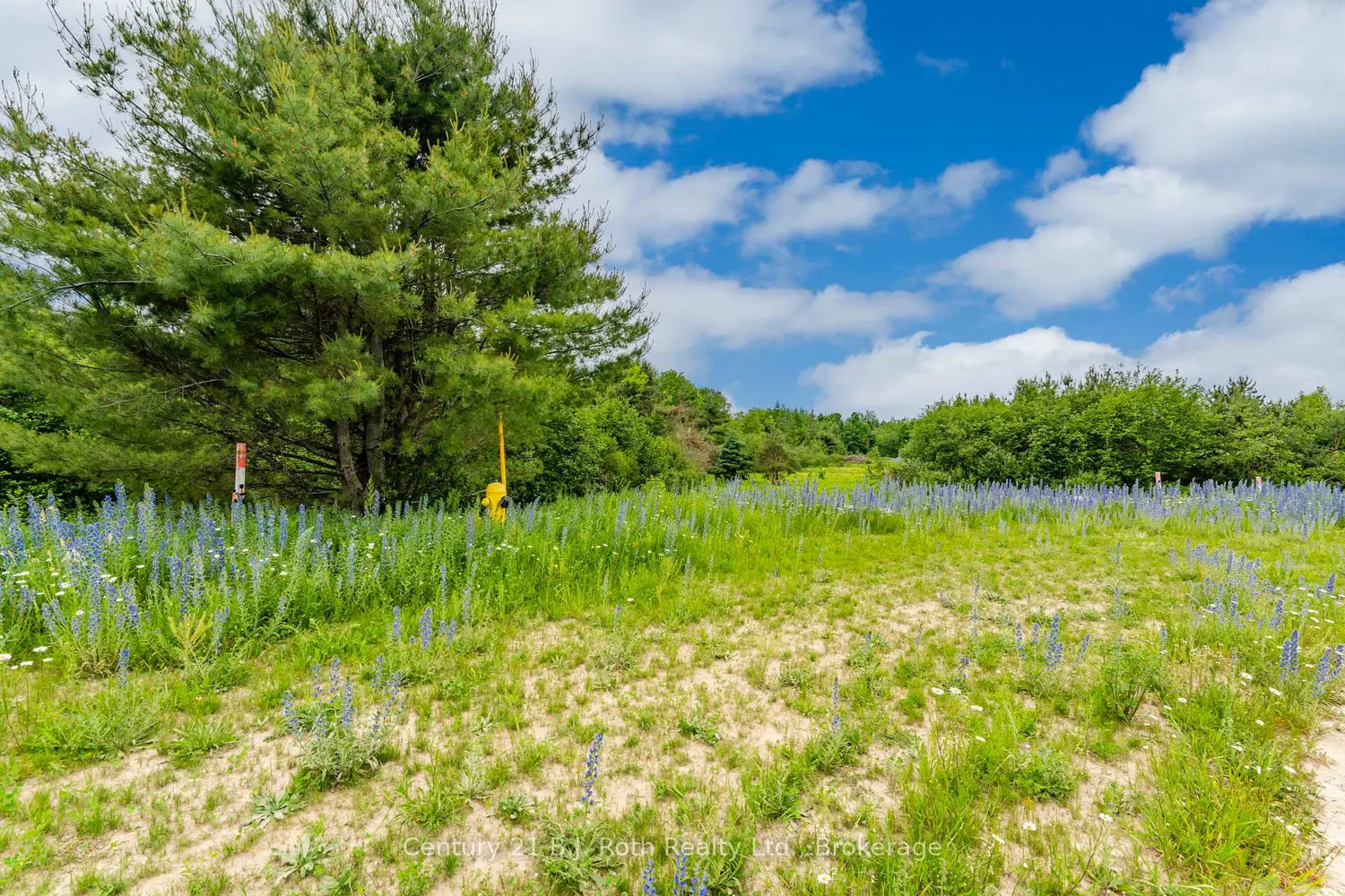 Additional image 8 of 13 Greenlaw Court