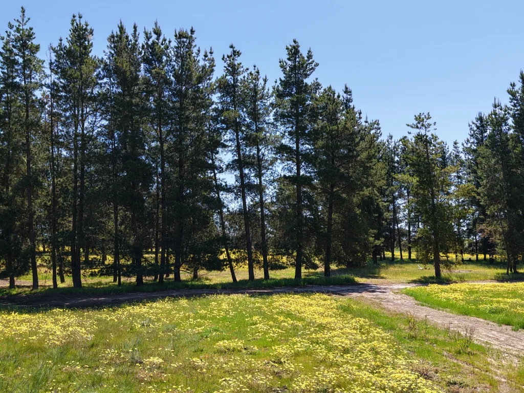 Additional image 47 of 1187 Dale - Kokeby Road, Kokeby WA 6304